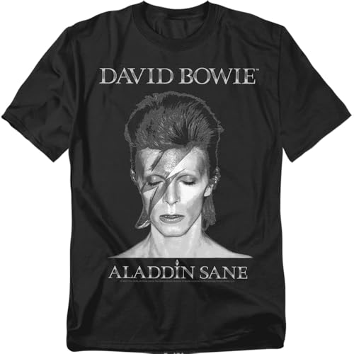 Popfunk Davie Bowie Gradient Ziggy Stardust Unisex Adult T Shirt Black Medium