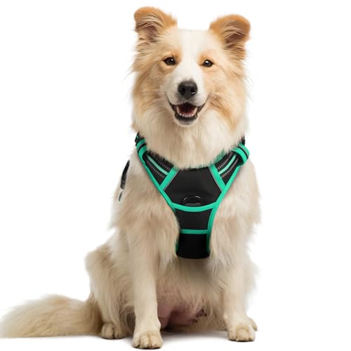 Image of rabbitgoo Dog Harness No Pull with 2 Leash Clips, Adjustable Soft Padded, Reflective Oxford No Choke Pet Vest with Easy Control Handle for Medium Sized Dogs, Black & Turquoise, M