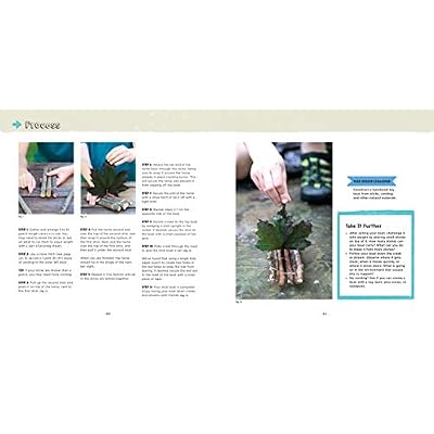 Sticks and Stones: A Kid's Guide to Building and Exploring in the Great Outdoors Flexibound May 7, 2019