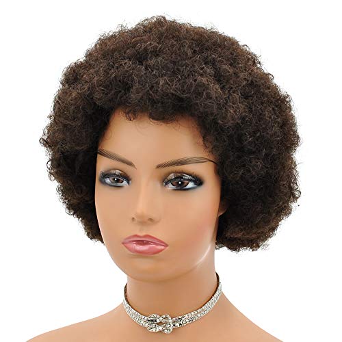 YENAS Afro Human Hair Wigs for Women Real Human Hairs Natural Color Virgin Hair Lovely Beauty Soft Human Hair wigs Good Bouncy Fluffy wig (10'' Dark Brown 2#)