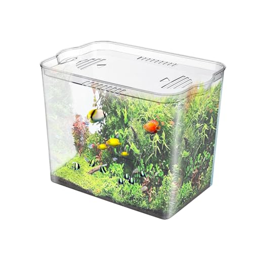 Wrohto Acuario Pequeño Acuario Pequeño Cubo Transparente, Pecera Pequeña Para Espacio Temporal, Tanques De Tortuga, Acuario De Escritorio Para Peces Pequeños Waterwee, Camarones Y Cangrejos Wrohto Acuario Pequeño Acuario Pequeño Cubo Transparente, Pecera Pequeña Para Espacio Temporal, Tanques De Tortuga, Acuario De Escritorio Para Peces Pequeños Waterwee, Camarones Y Cangrejos