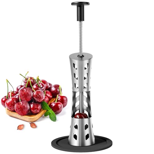 Newness 304 Stainless Steel Pitter