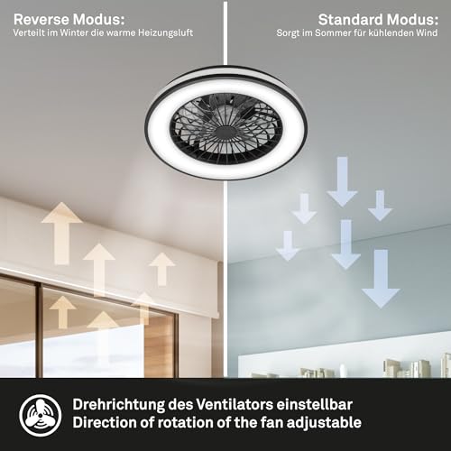 BRILONER Wentylator sufitowy CCT z 5-biegowym oświetleniem, pilotem zdalnego sterowania, ściemniaczem, lampa do salonu, lampa sufitowa z wentylatorem, 48,5 x 14,5 cm (DxH), czarny