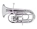 Euphonium Bb 4 Valve for Students, Beginners with Free Hard Case and Mouthpiece, Bb Pitch Euphonium Brass Made Musical Instrument NIckel Silver by Fusion Musicals