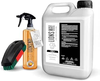 LionsWay: Limpiador de Tapicerías de Coche Profesional. Nueva Fórmula FOAM Ayuda a Limpiar Rápida y Efectivamente. Limpiador Interior de Asientos y Alfombrillas. (5l + Cepillo + Pulverizador)