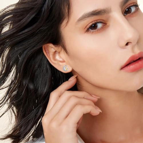 Image of 925 Sterling Silver Dog Earrings Cute Animal Puppy Stud Earrings Dog Jewelry Gifts for Women Girls Pet Lover Hypoallergenic Earrings for Sensitive Ears