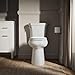 KOHLER K-25224-0 Highline Tall Two-Piece Elongated Toilet with Left-Hand Trip Lever, Elongated Toilet Bowl, 1.28 GPF, White