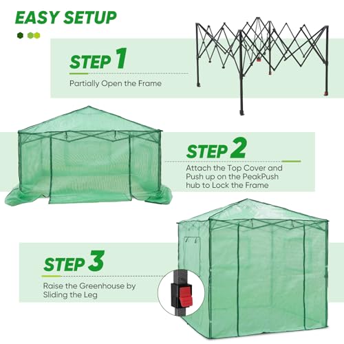 Image of EAGLE PEAK 7x7 Easy Setup Pop Up Greenhouse, 2 Folding Shelves, Clear /Green