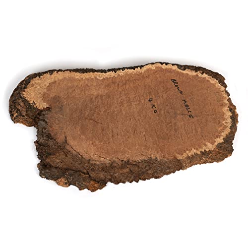 Woodcraft Australian Brown Mallee Burl Slice 2kg-4kg 1-Piece