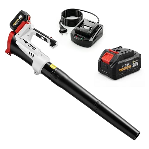 Outsunny Souffleur de Feuilles sans Fil 250 W, avec...