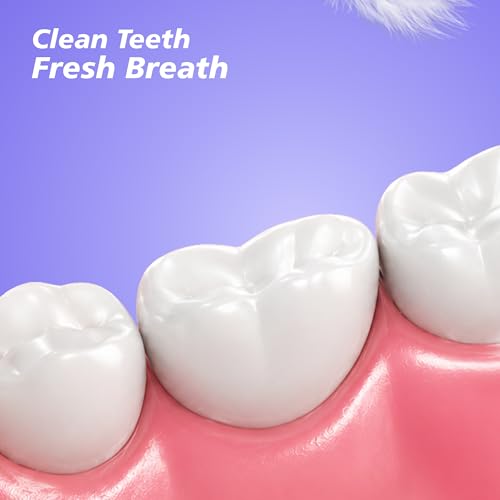 Image of Enshine Expert Protection Toothbrush for Adults - Pack of 4 | Double-Tapered Ultra Soft PBT Bristles | Premium Tooth Brush Set for Sensitive Gums | Deep Gum-Line Plaque Removal | Manual Toothbrush with Non-Slip Grip Multicolor