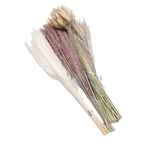 Buquê de Grama de Pampas, Flores Secas Volumosas para Beleza Eterna, 17 Polegadas, Peças Centrais de