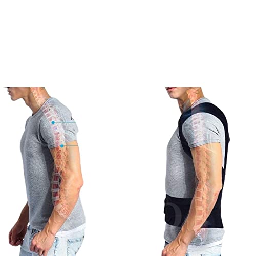 Support de clavicule de taille L avec forme de dos réglable - 4