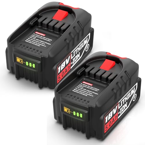 Hvoolee Batterie de Rechange pour Bosch 18V PBA PSB PSR : 5,0Ah Batterie d'outil Li-ION Compatible avec Les Outils pour Bosch la Maison et Le Jardin (2 pièces)
