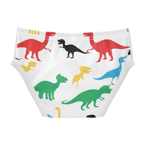 Dinosaur Toddler Boy's Underwear 2T 202c11362