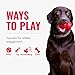 KONG – Wubba Puppy – Zerrspielzeug aus Nylon (Farbvar.) – Für Kleine Welpen