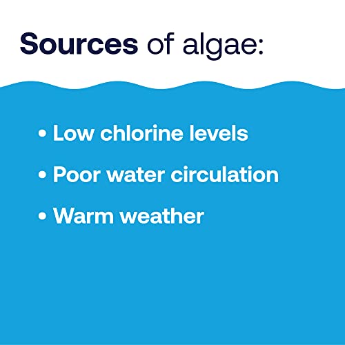 Image of HTH 67289 Swimming Pool Care Algae Guard Ultra, Swimming Pool Chemical, Long Lasting Formula, 32 fl oz