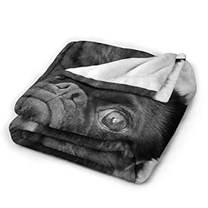 Cute Black Pug Dog Printed Blanket Throw Lightweight Soft Micro Fleece Throw Blankets Fit Couch Bed Living Room Sofa Chair 60"X50" Cute Black Pug Dog Printed Blanket Throw Lightweight Soft Micro Fleece Throw Blankets Fit Couch Bed Living Room Sofa Chair 60X50