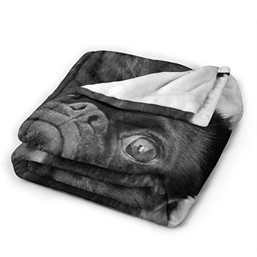 Cute-Black-Pug-Dog-Printed-Blanket-Throw-Lightweight-Soft-Micro-Fleece-Throw-Blankets-Fit-Couch-Bed-Living-Room-Sofa-Chair-60X50 Cute Black Pug Dog Printed Blanket Throw Lightweight Soft Micro Fleece Throw Blankets Fit Couch Bed Living Room Sofa Chair 60X50