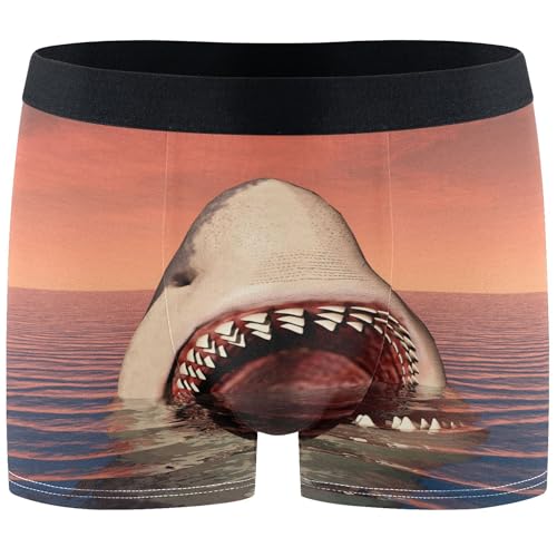 visesunny Men's Boxer Briefs Soft and Breathable Underwear with ComfortFlex Waistband Funny Pattern Underpants