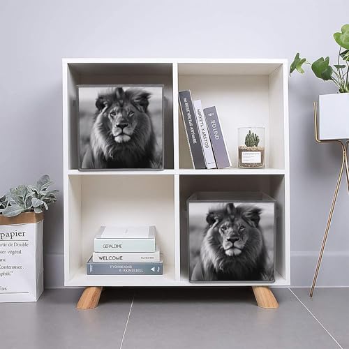 Boîte de rangement pliable durable à poignées pour linge et chaussettes