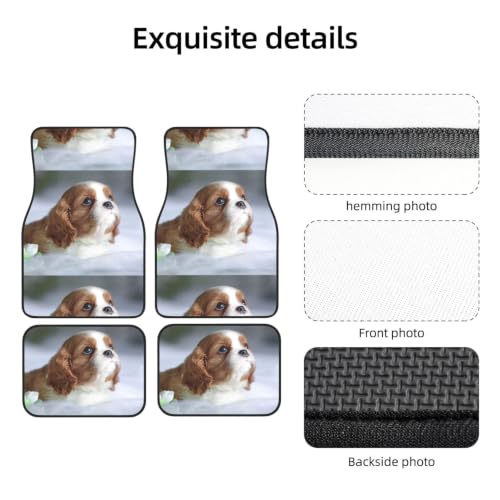 Alfombrillas de Vehículos para Evitar Resbalones con Diseño de Cavalier 3