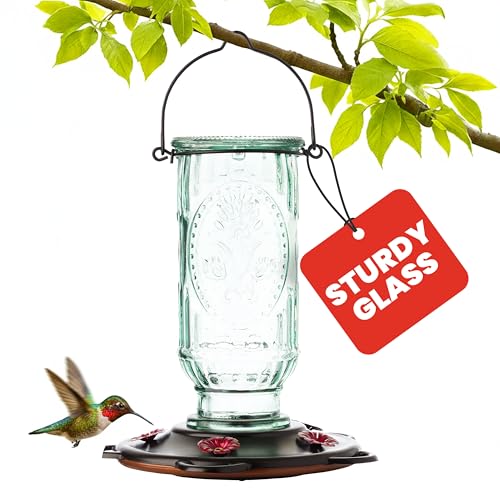 More Birds Vintage Hummingbird Feeder, Antique Glass Bottle, 5 Feeding Ports, 20-Ounce Nectar Capacity