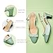 C.Paravano Women's Slingback Low Chunky Heels Mint Round Toe Block Heel Pumps Splicing Bowknot Slip On Fashion Party Dress Shoes,Size8.5