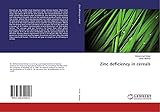 LAP LAMBERT Academic Publishing
