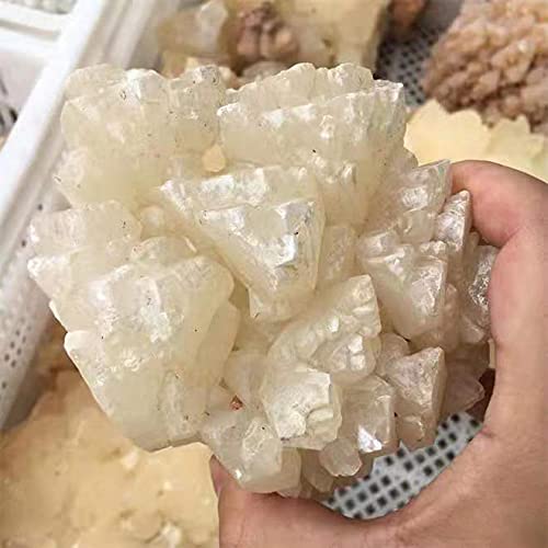 Amazon.co.jp: 1pc 天然鍾乳石石クォーツラフ鍾乳石クリスタル
