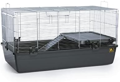 Prevue Pet Merchandise 528 Common Small Animal Residence, Darkish Grey,CAGE