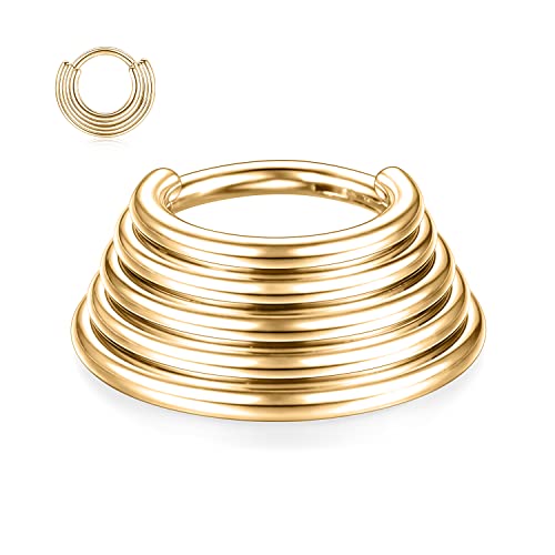 16G Daith Ohrringe Chirurgenstahl Gestapelter Septum-Nasenring 16G Septum-Schmuck Nahtloser Clicker-Ring Goldene Nasenringe 10mm Daith-Piercing-Schmuck Conch Hoop Helix Knorpel Rook Ohrringe 5-Tier Cover