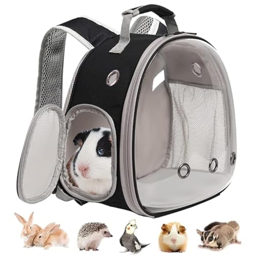 guinea pig backpack space capsule bubble window small animal backpack for guinea pig bird bunny rabbit