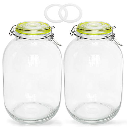 Glass Jars with Airtight Lids, Qianfenie 2 Pack - 1 Gallon Wide Mouth Mason Jars with Hinged Lids for Fermenting, Canning, Preserving - Storage Jar with 2 Replacement Silicone Gaskets