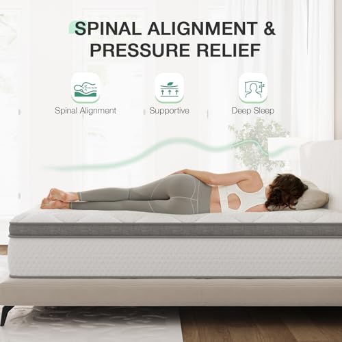 Image of Novilla Hybrid Mattress Queen Size, 14 Inch Plush Mattress in a Box|Back Support & Pressure Relief, Supportive Comfort Foam, Pocketed Innersprings, CertiPUR-US Certified, Guest & Dorm