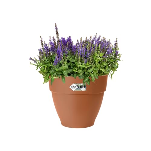 elho Vibia Campana Round 20 - Plant Pot for Outdoor - 100% Recycled Plastic - diameter 19.5 x H 16.8 cm - Brown/Terra - Image 3