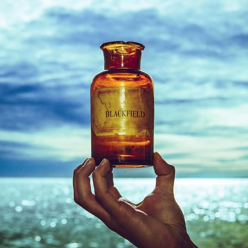 Photo de Blackfield V (Black Vinyl)
