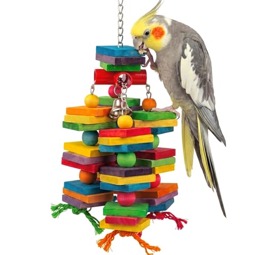 Bird Toys for Parrots, Natural Wood Bird Chewing Toy with Heavy-Duty Stainless Steel Chain for Small to Medium Parrot, Cockatiel, African Grey, Amazon Parrot, Conure Bird Cage Accessories - 1.2 lbs
