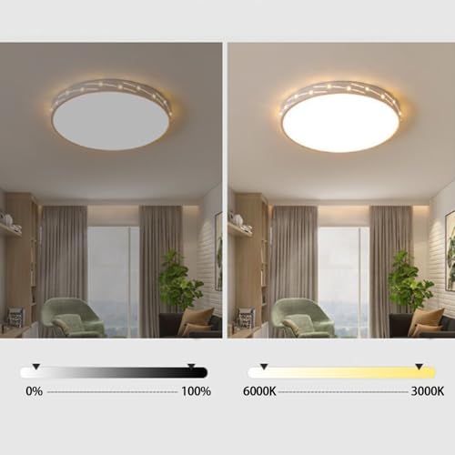 Plafonnier LED salon dimmable rond 50cm avec télécommande
