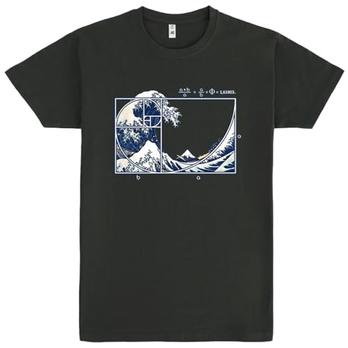 Pampling Camiseta de Manga Corta, 100% Algodón, Ropa Unisex para Hombre y Mujer, Serigrafiada con Cuello Redondo y Corte Recto, Color Gris (The Great Fibonacci Wave, S)