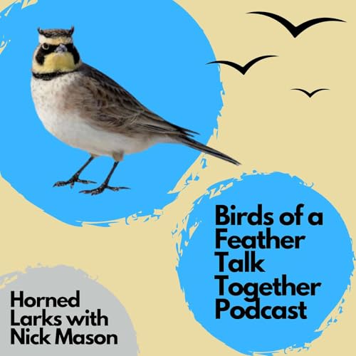136: Horned Larks with Nick Mason