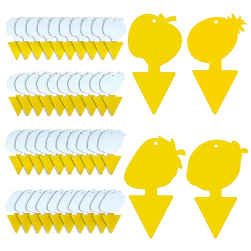 KIKALIFE Fruit Fly Trap & Fungus Gnat Traps 40 Pack