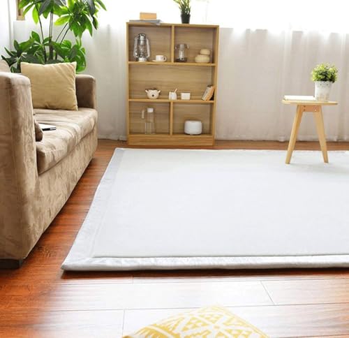Alfombras modernas de terciopelo para sala de estar de espuma cómoda 2