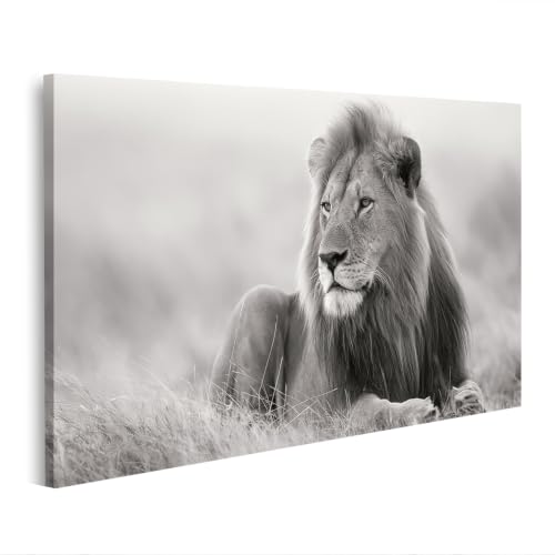 Tableau sur toile lion majestueux islandburner R2 pour decoration moderne de salon