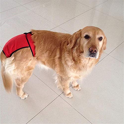 Lffopt Pannolini Cane Maschio Pannolini Cane