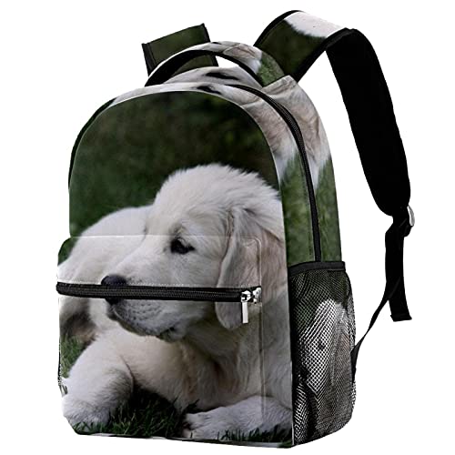 Sac à dos chien mignon pour femme le compagnon de vos sorties en ville