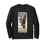 Hunting pintail birding birdwatching outdoor