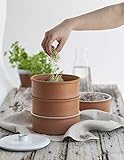 Leguana Edler Sprossenturm aus Terrakotta, Sprossenhaus, Anzucht von Keimsprossen - incl. 50g Gourmet-Sprossenmischung!