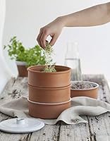 Leguana Edler Sprossenturm aus Terrakotta, Sprossenhaus, Anzucht von Keimsprossen - incl. 50g Gourmet-Sprossenmischung!