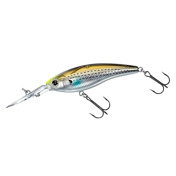 バス釣り　シャッド　セット Amazon.co.jp: ダイワ(DAIWA) バスルアー STEEZサイレント